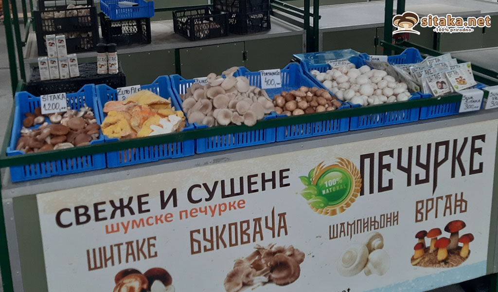 Pečurke Bežanijska kosa