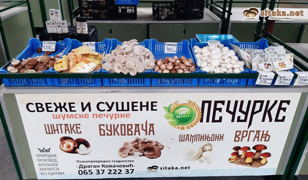 Prodaja pečuraka Bežanijska kosa