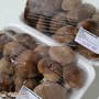 sirove_shiitake_gljive